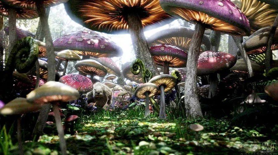 智问答网页你是什么原因而分手的?,点亮你的智慧!